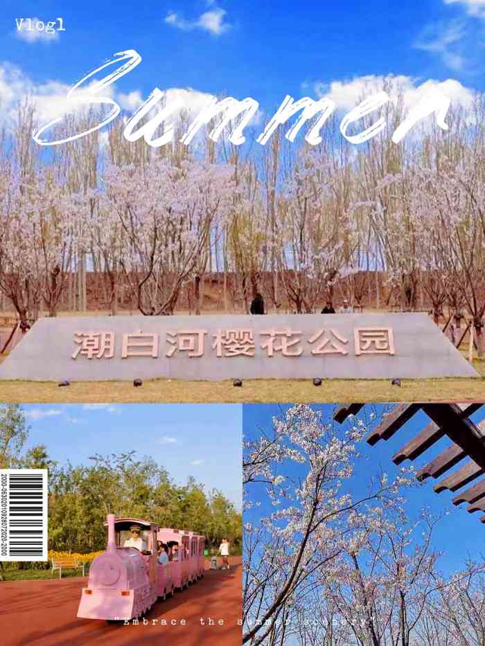 潮白河樱花公园"周末遛娃好去处[强]推荐大厂樱花公园,距.