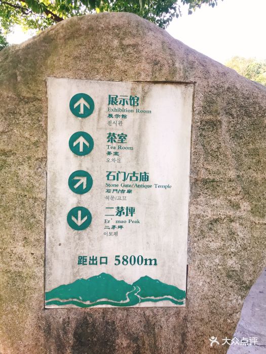 惠山国家森林公园图片