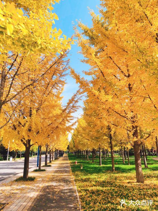 西北农林科技大学(南校区)图片