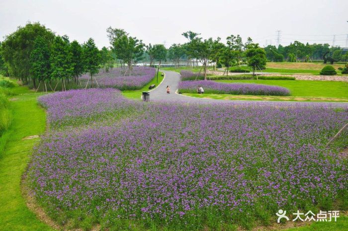 上海辰山植物园图片