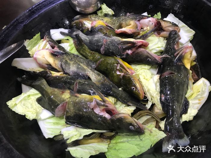 屯老二农家铁锅炖(环湖南道店)炖嘎鱼图片 第118张