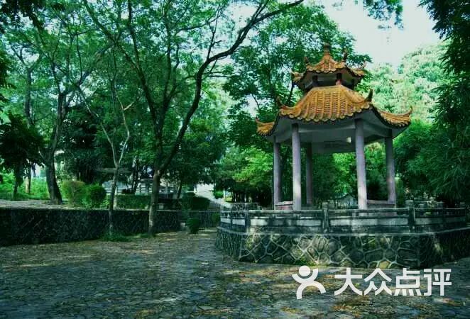松口中学松苑.图片 - 第12张