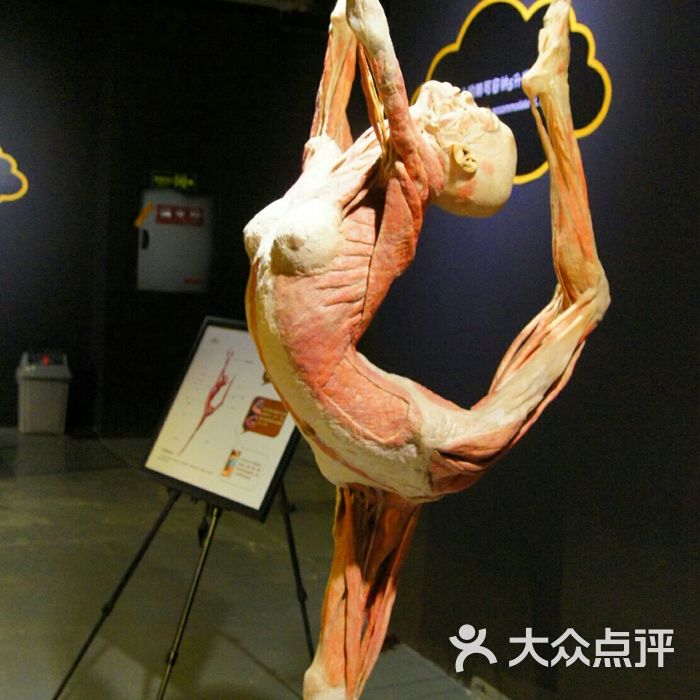 生命奥秘博物馆