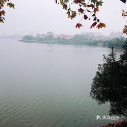 九江有多少人口_九江人口分布图(2)