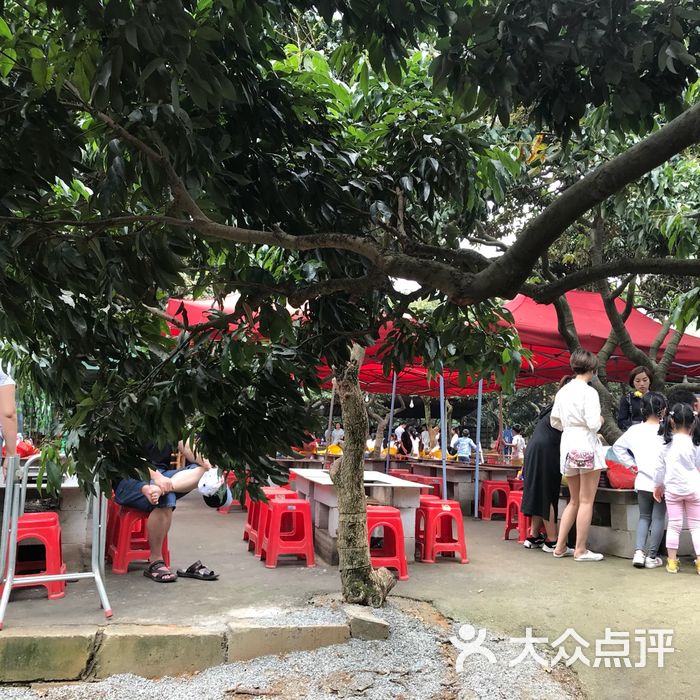 牙山果园烧烤场图片-北京采摘/农家乐-大众点评网