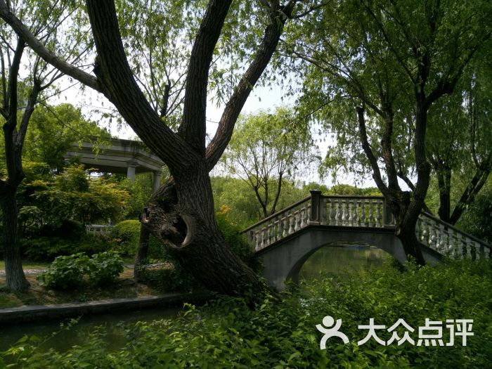 吴泾公园图片 第6张