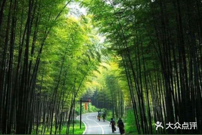中国大竹海景区图片