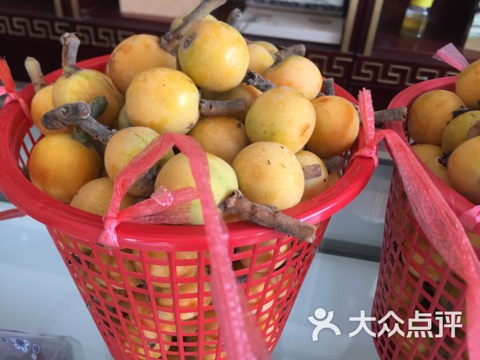 苏州西山碧螺春茶叶土特产直销店-新鲜枇杷图片-吴江购物-大众点评网