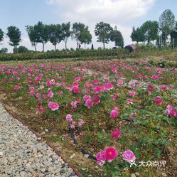 【天下玫景】电话,地址,价格,营业时间(图) - 句容市