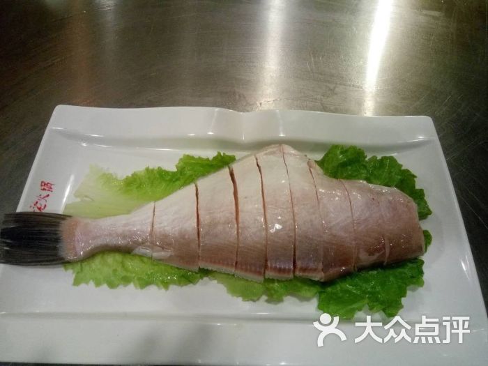精品耗儿鱼