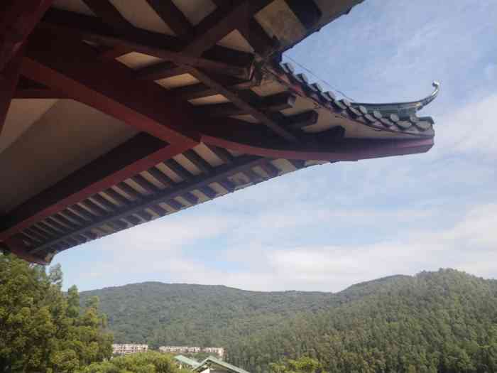 大佛寺佛世山庄-"附近的一个寺,之前无意间看到的,那次很多.
