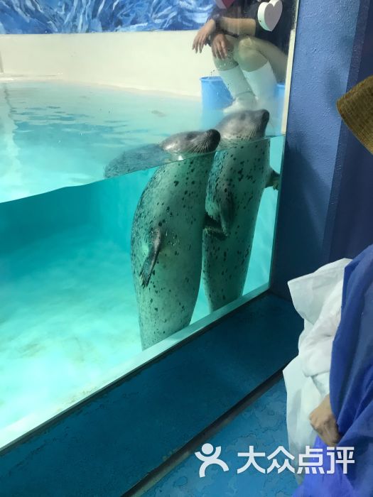 下田海中水族馆图片 - 第5张