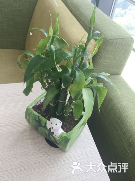 苹果售后:我个人认为还是可以的,不管什么.苏州