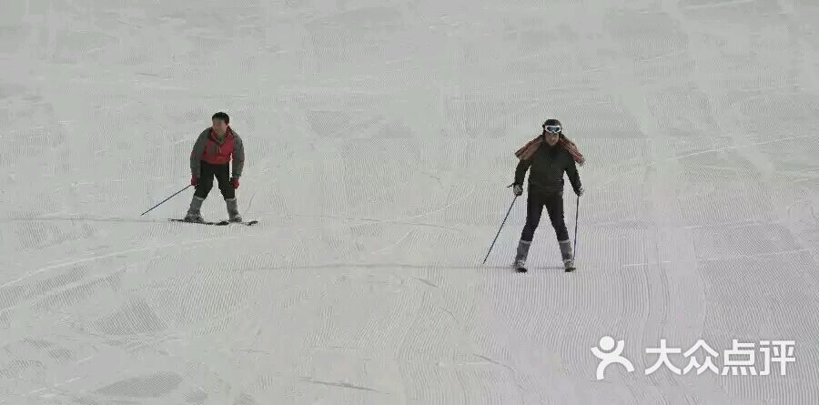 龙之山(东归)滑雪场-图片-库尔勒市周边游-大众点评网