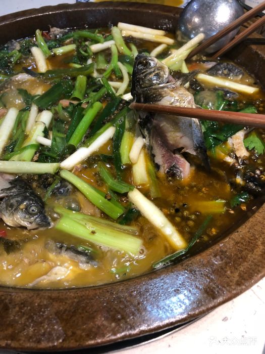 石锅土鲫鱼图片 第55张