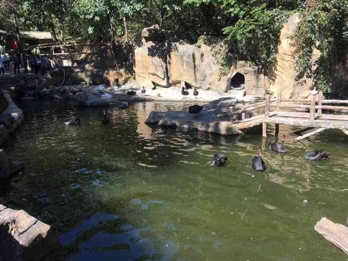 燕塞湖鸟语林景区