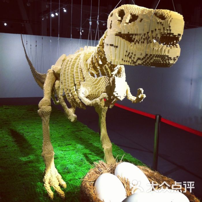 天协文化发展-乐高展恐龙图片-上海景点-大众点评网