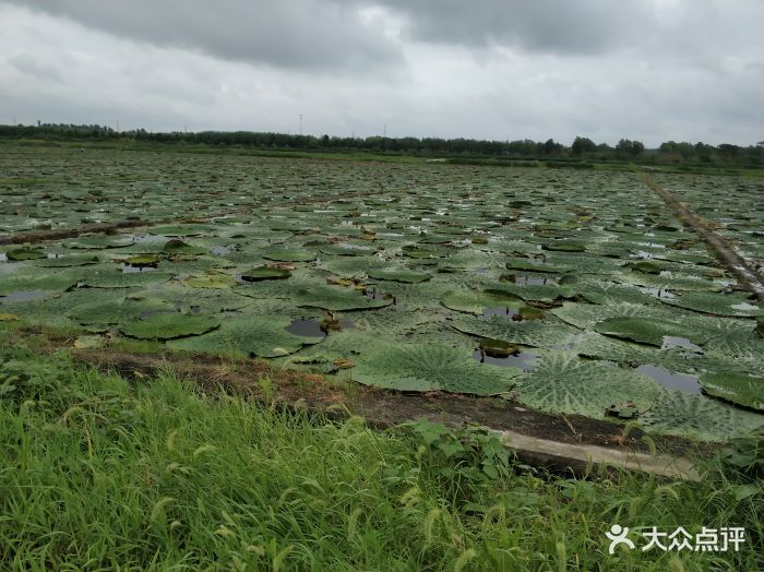 水八仙生态园-图片-苏州周边游-大众点评网