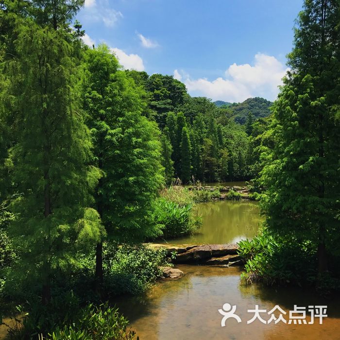 云溪生态公园