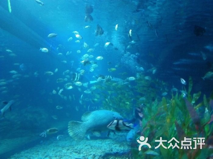 顺盈海洋世界图片 - 第3张