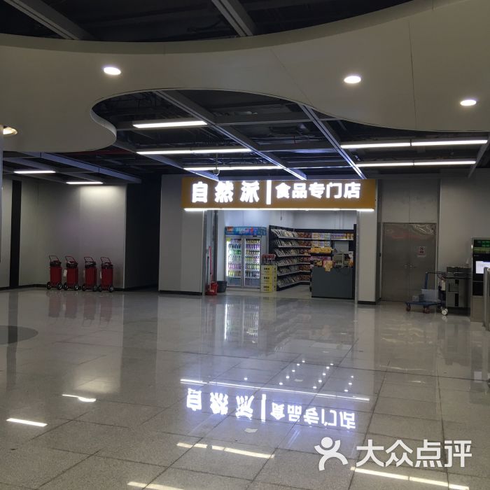 南山地铁站自然派图片 - 第3张