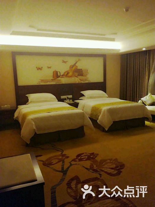 维也纳国际酒店(茂名电白店)双人床图片 - 第1张