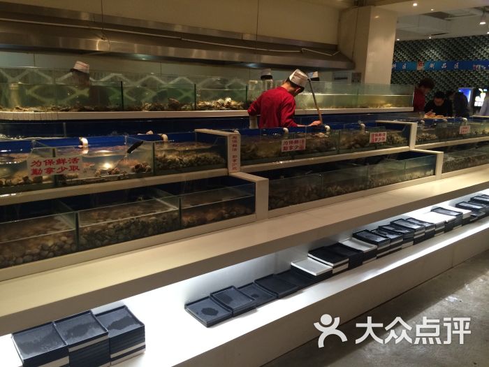 回龙湾国家森林公园_回龙湾杜鹃花_回龙湾阿伟海鲜(2)