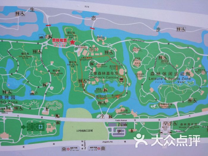顾村公园-图片-上海周边游-大众点评网