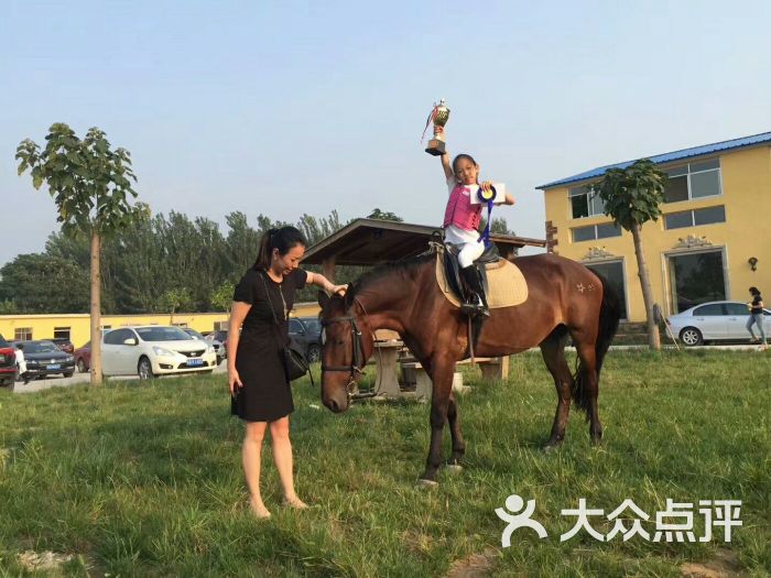 专业的马场马术俱乐部-图片-北京运动健身-大众点评网