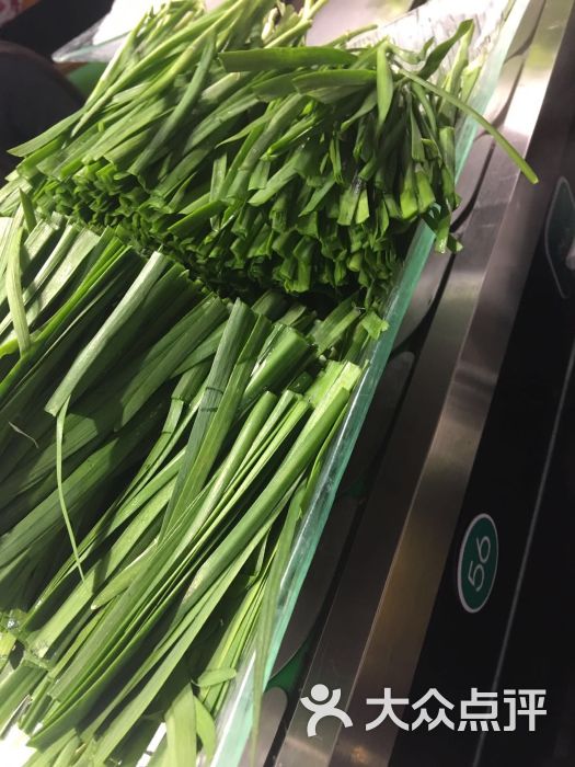 丁丁洋回转自助火锅(太阳岛物美店)韭菜图片 第2张