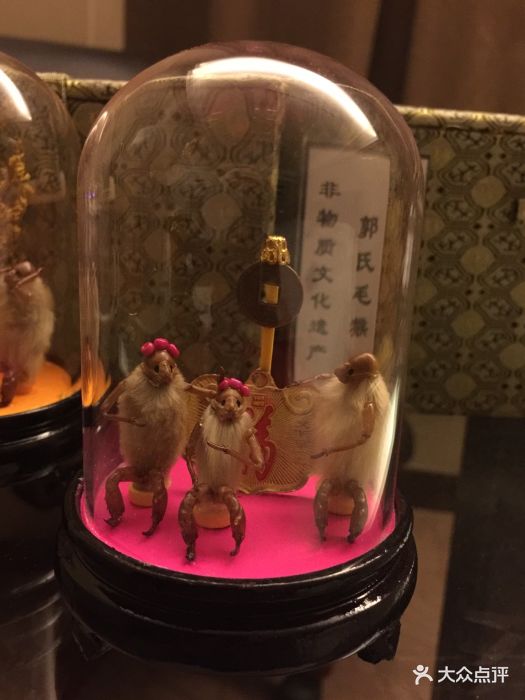 郭氏毛猴图片 第54张