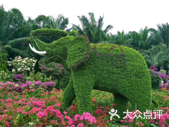 莲花山公园-图片-深圳周边游-大众点评网