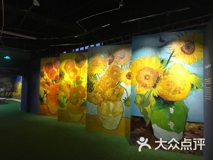 遇见梵高光影互动艺术展-图片-南京景点/周边游-大众点评网