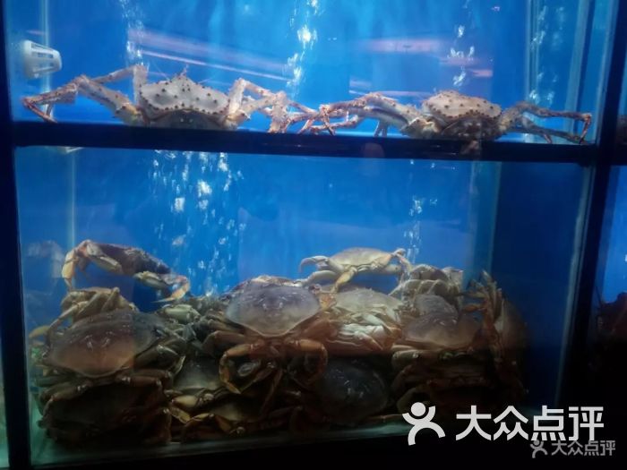 珍宝海鲜jumbo seafood(北京skp店)图片 - 第902张