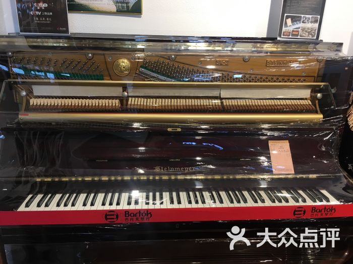 巴托克琴行音乐培训中心-图片-天津学习培训-大众点评网