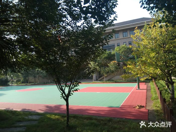 南京市游府西街小学国际部图片