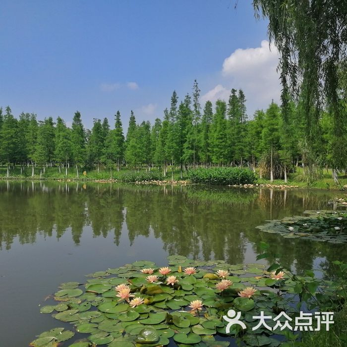 瑶湖郊野森林公园