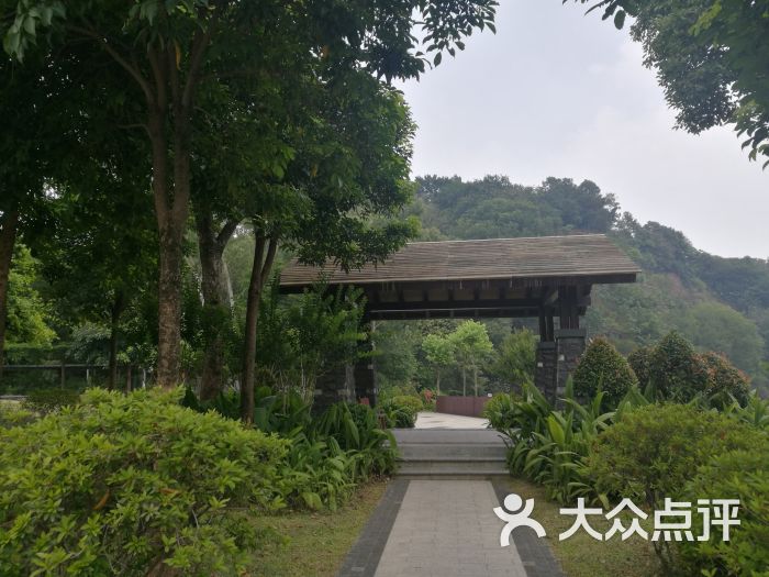 王借岗森林公园-图片-佛山周边游-大众点评网