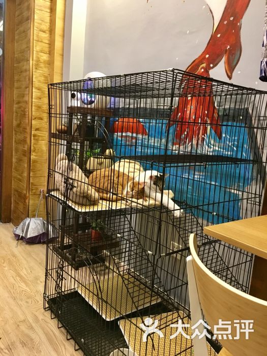 猫君橘九:非常完美的地方,2个人可以在阁.宁波