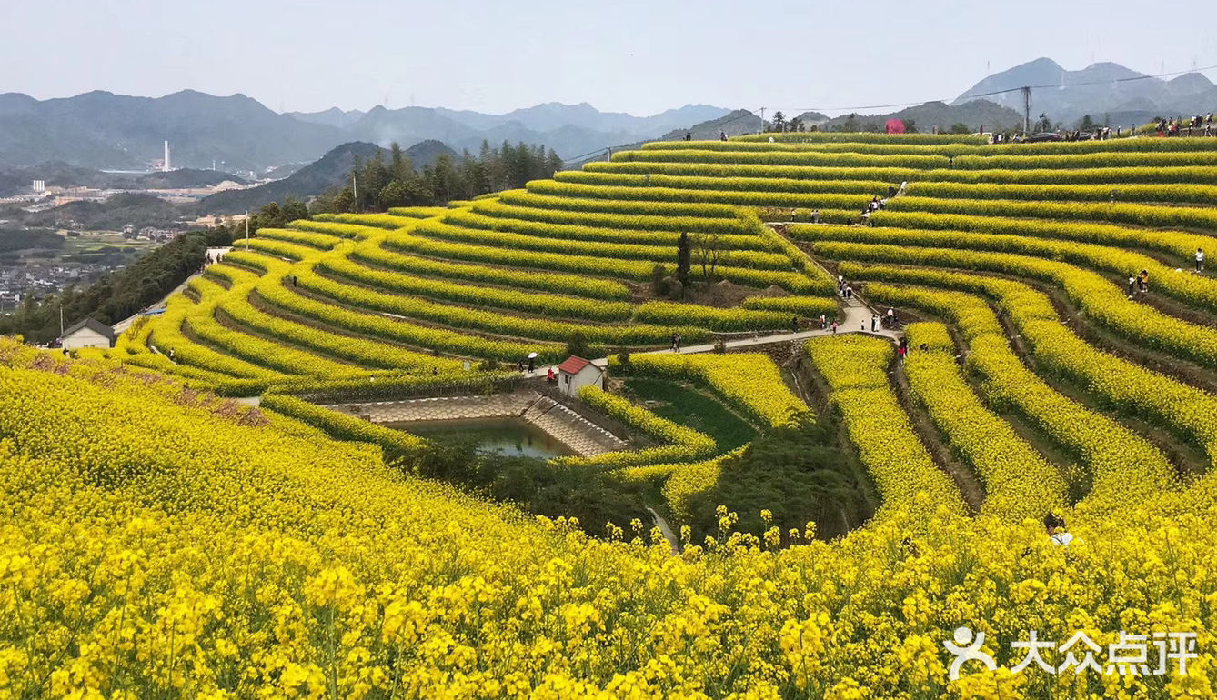 杭州富阳的新登村的黑山顶成了名副其实的"网红