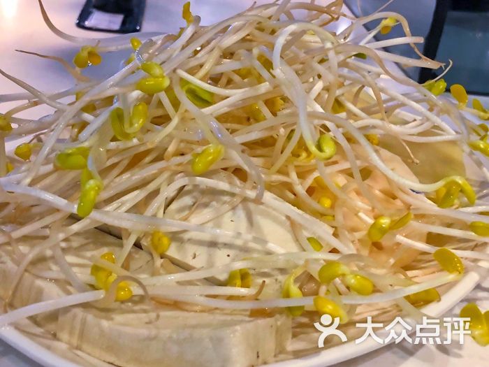 豆芽土豆藕片豆腐拼盘