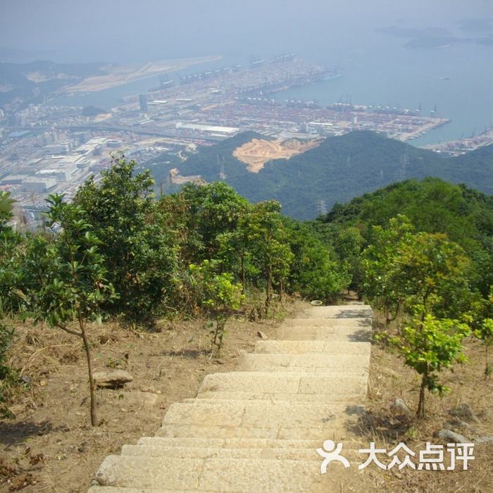 梧桐山 秀桐登山道                 阿童木rx           阿童木rx