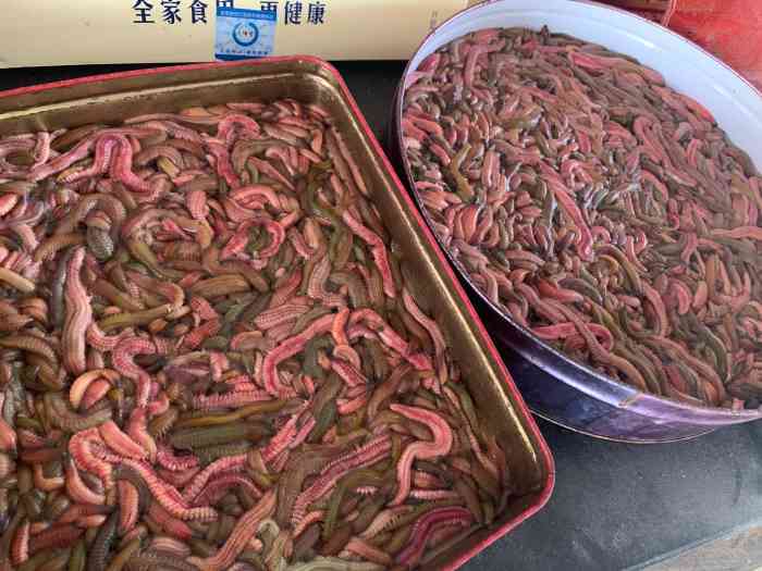 又到一年禾虫季 每年农历九月初一这几天 就很多神湾禾虫卖 大家