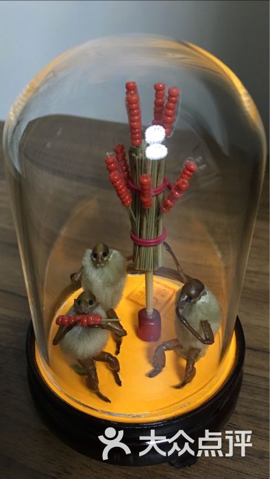 郭氏毛猴图片 第2张