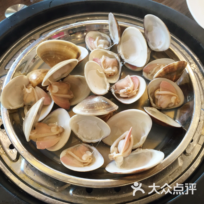 蒸食尚●蒸汽火锅海鲜餐厅沙白图片 - 第162张