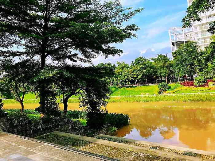 萝岗湿地公园-"大自然真的太舒服了～今天天气也很好