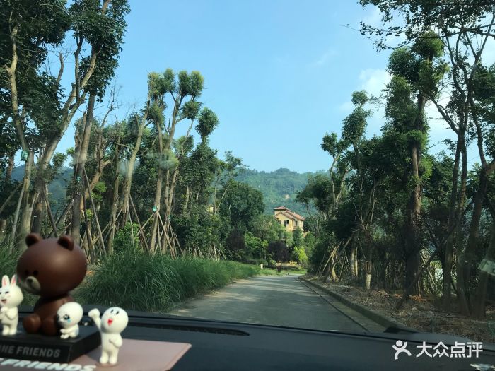 大溪谷旅游景区-图片-蒲江县周边游-大众点评网