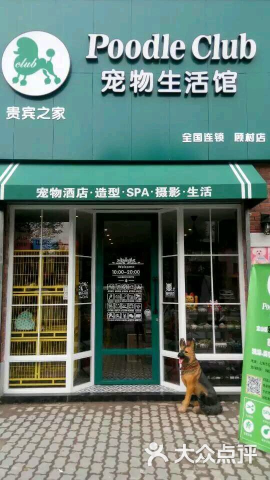 poodle club贵宾之家宠物生活馆(顾村店)图片 - 第494张