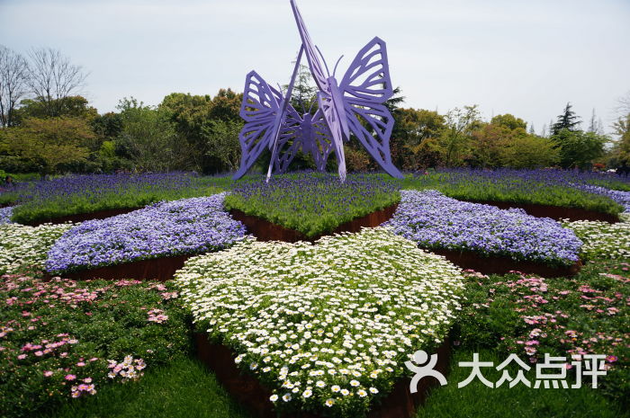 上海植物园