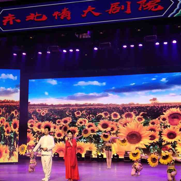 东北情二人转大剧院-"表演精彩,演员漂亮,棒棒棒棒棒.